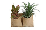 Jute 2 Pocket Horizontal Hanging Planter