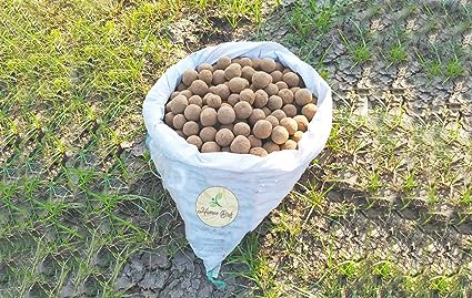 Fig, Ficus Carica, Attahimaram, Cluster Seed Balls- Pack of 300