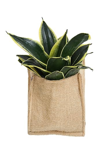 Jute 1 Pocket Hanging Planter- Pack of 2