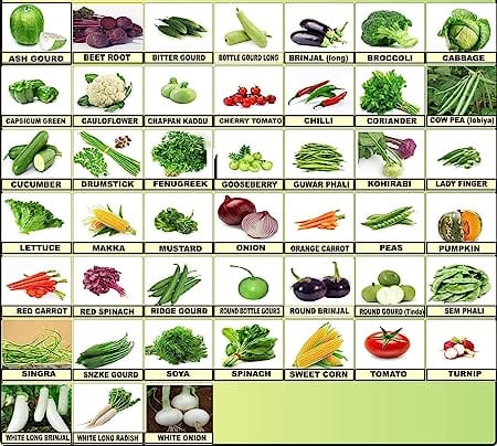 Flare Seeds 45 Varieties of 2550+ Vegetable Seeds