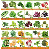 Flare Seeds Vrisa Green 30 Varieties of Vegetable & Fruit Seeds