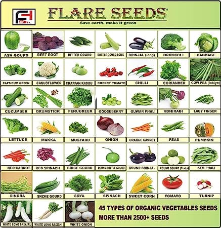 Flare Seeds 45 Varities of Vegetables 2500+ Seeds With Instruction Manual