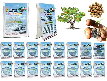 50 Set of Seed Balls Return Gift Pack