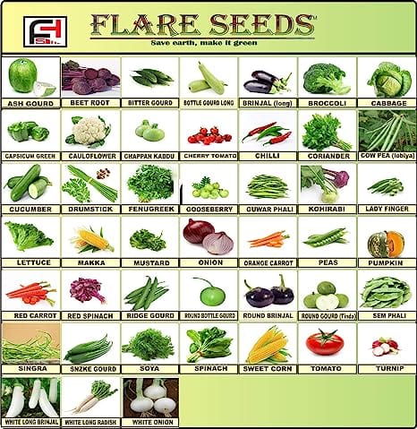 Flare Seeds 45 Varieties Vegetable 2500+ Organic Seeds