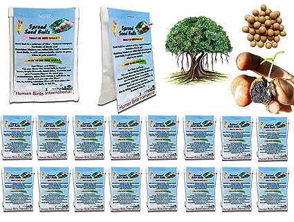 50 Set of Seed Balls Return Gift Pack