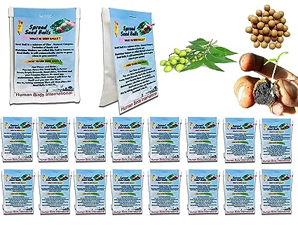 50 Set of Seed Balls Return Gift Pack