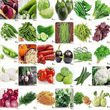 Flare Seeds Vrisa Green 30 Varieties 1700+ Vegetable Seeds