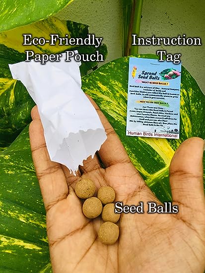 50 Set of Seed Balls Return Gift Pack