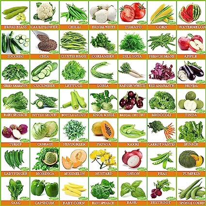 Flare Seeds Vrisa Green 30 Varieties of Vegetable & Fruit Seeds