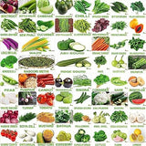 Flare Seeds Winter & Summer Vegetable 60 Organic Seeds