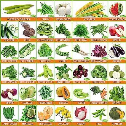 Flare Seeds Vrisa Green 30 Varieties of Vegetable & Fruit Seeds