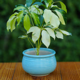 Ceramic Planter with Horizontal Grooves