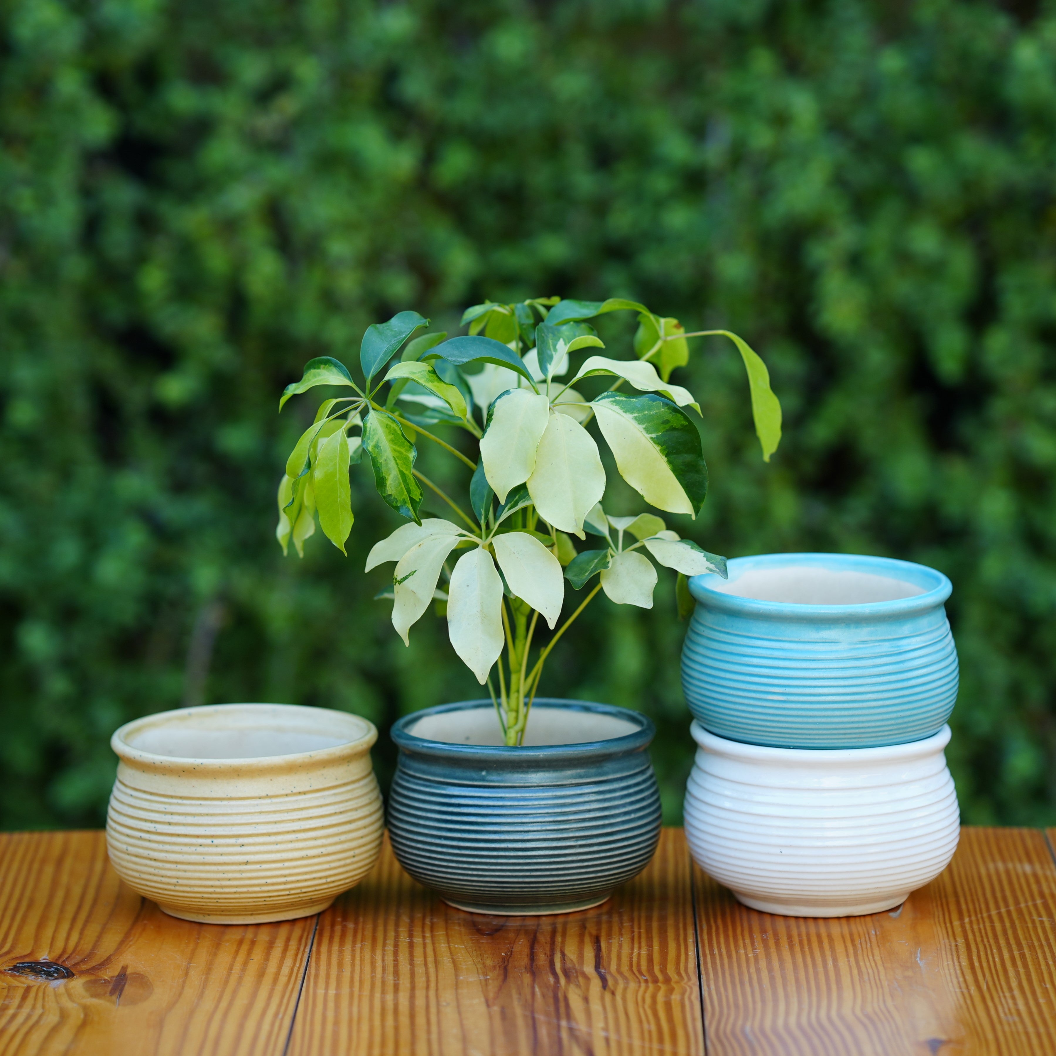 Ceramic Planter with Horizontal Grooves