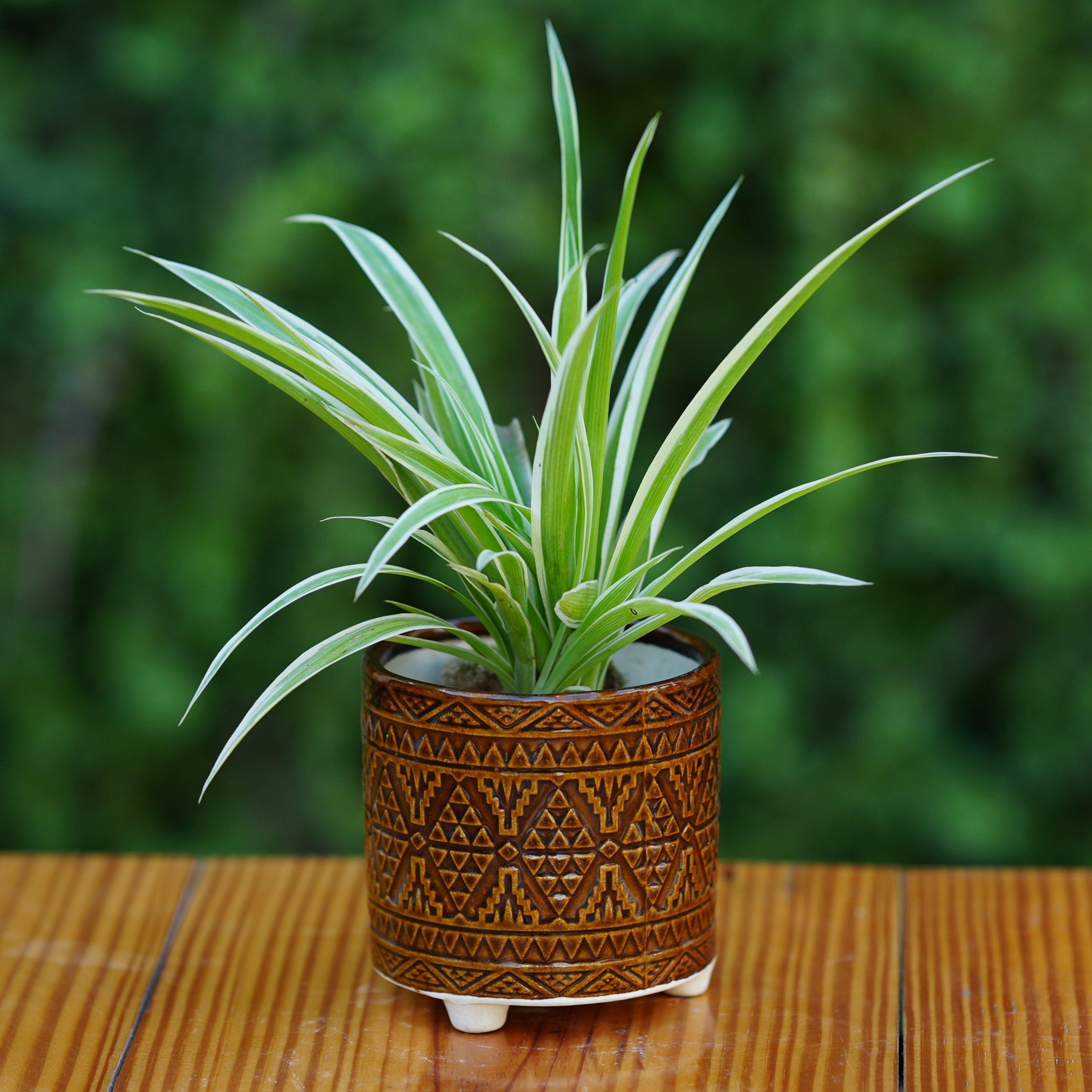 Ceramic Geometric Pattern Ceramic Planter with Three Feet