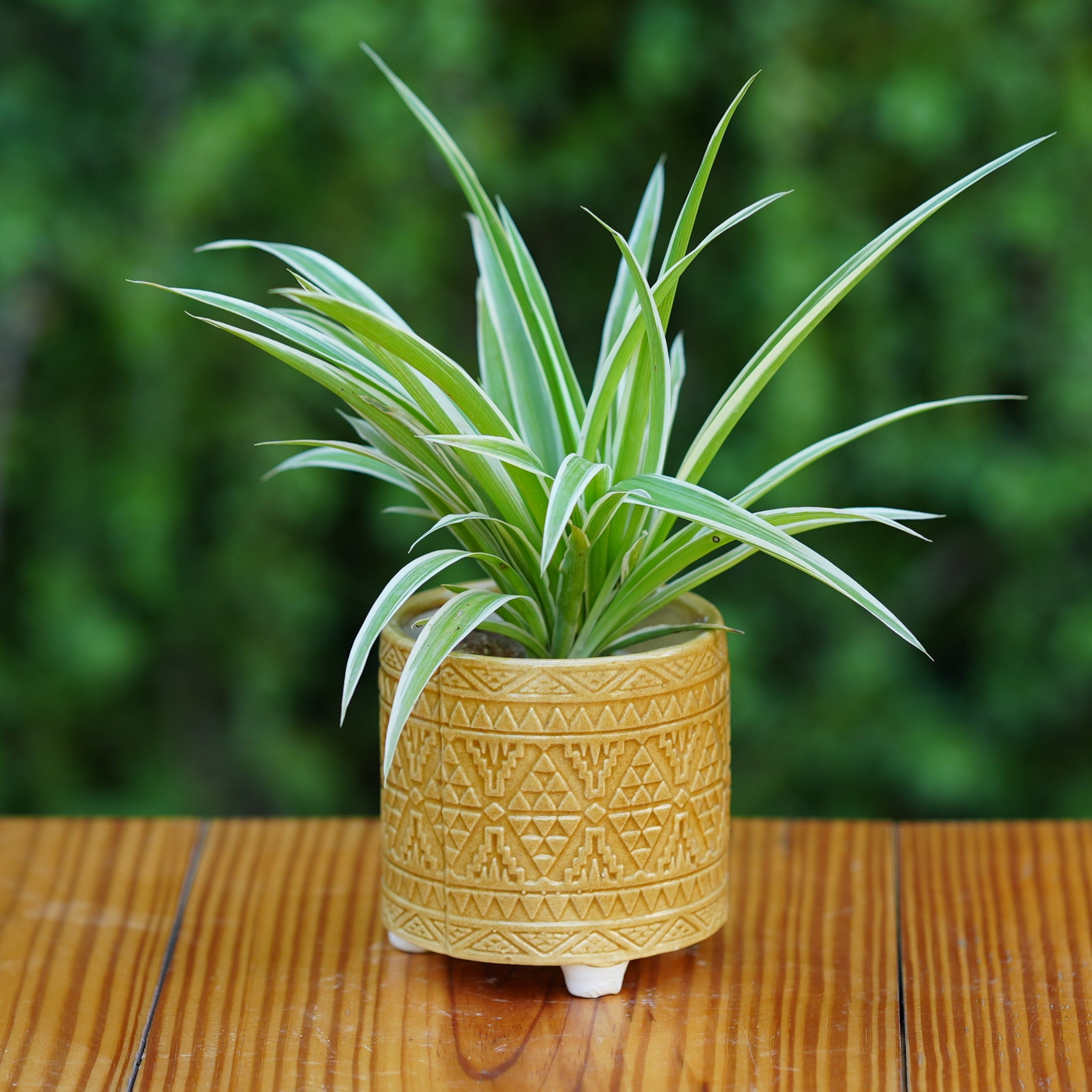 Ceramic Geometric Pattern Ceramic Planter with Three Feet