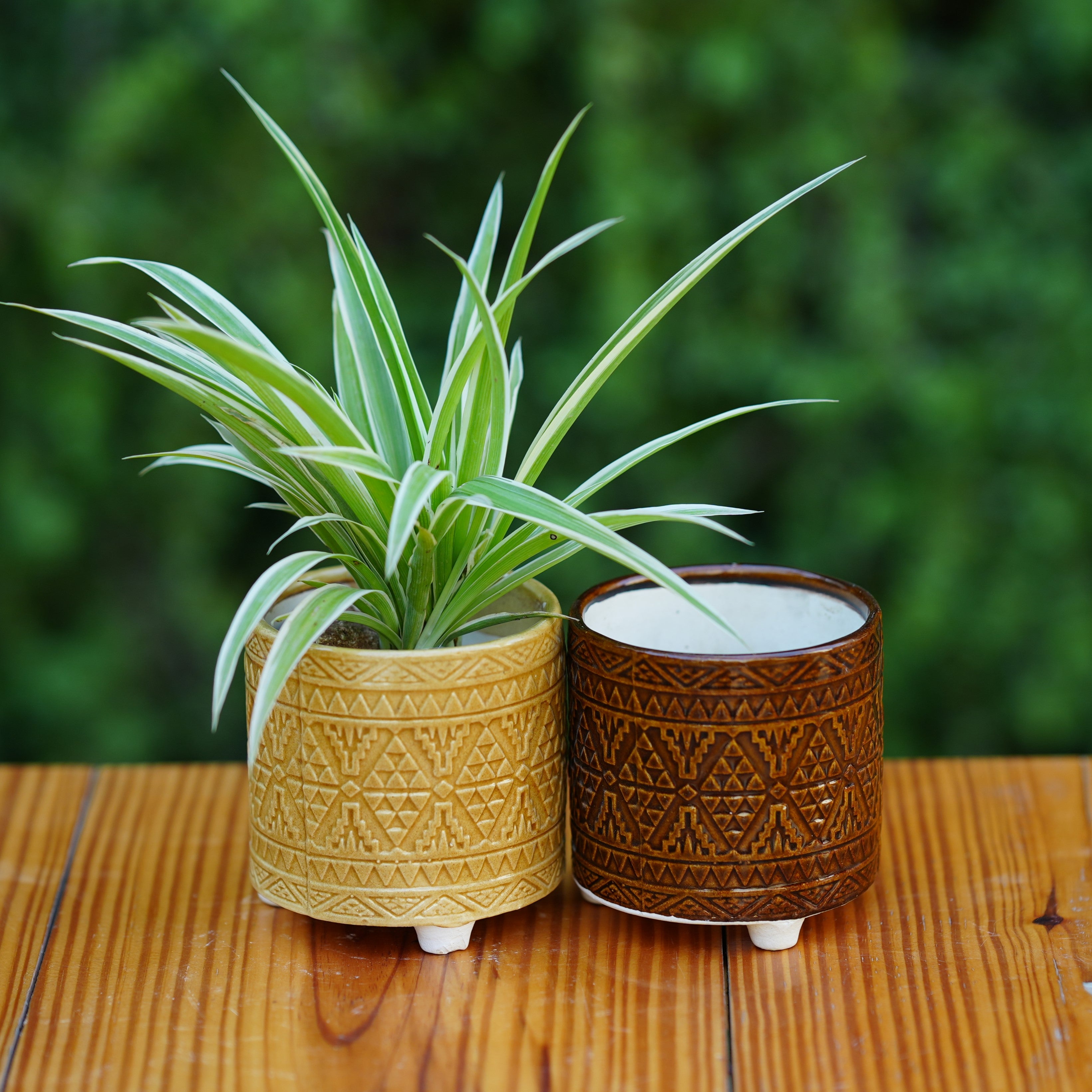 Ceramic Geometric Pattern Ceramic Planter with Three Feet