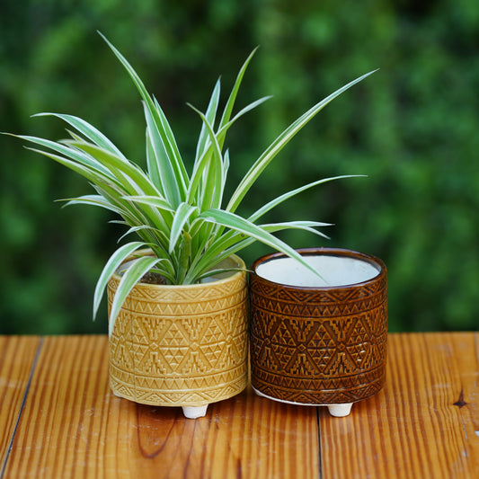 Ceramic Geometric Pattern Ceramic Planter with Three Feet