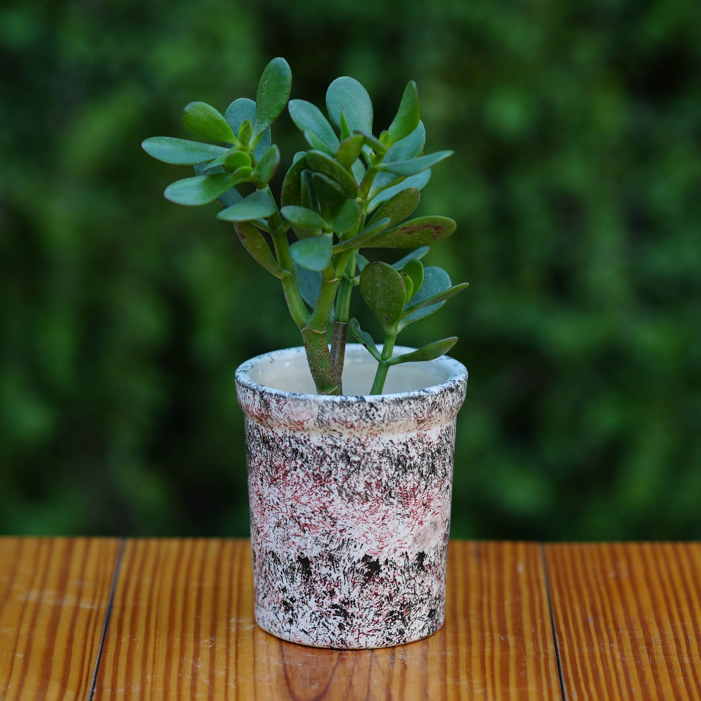 Expressive Splatter Paint Ceramic Planter