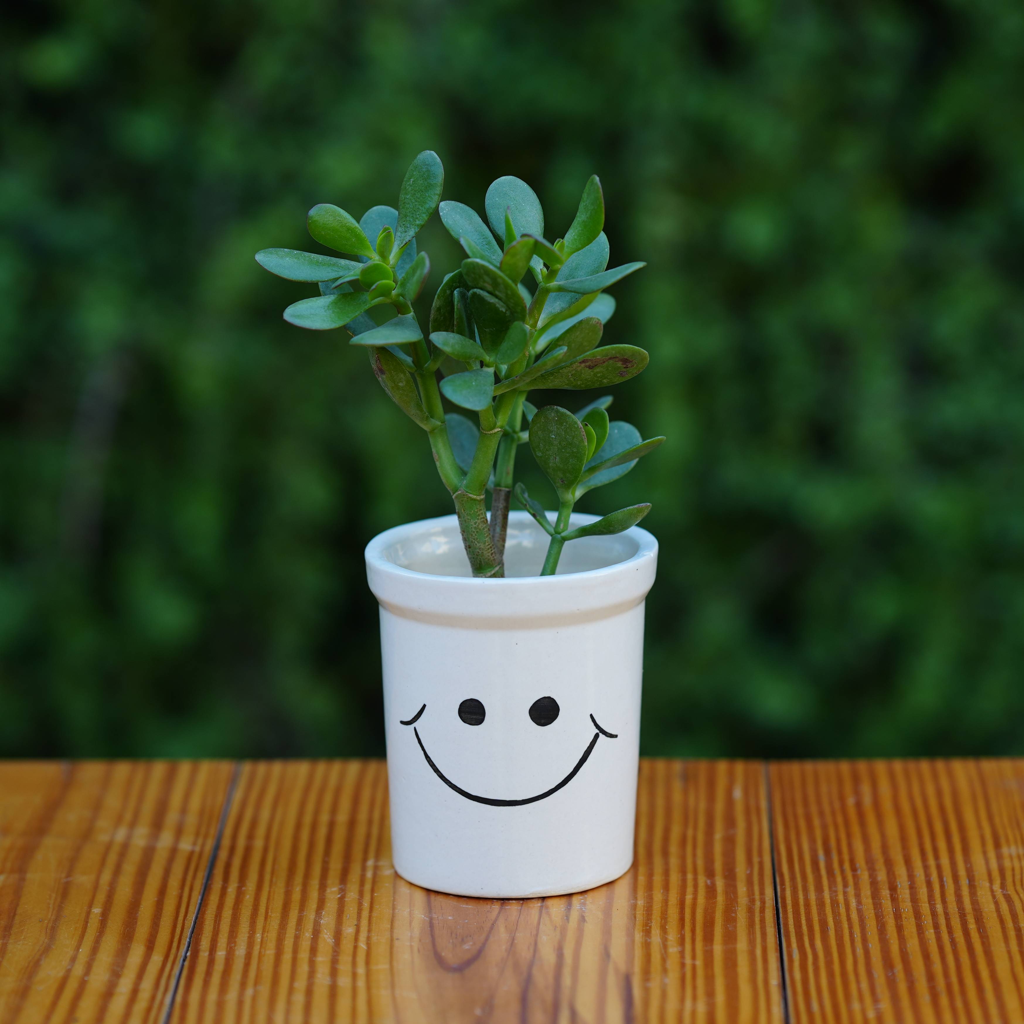 Cheerful Smiley Face Ceramic Planter for Plants