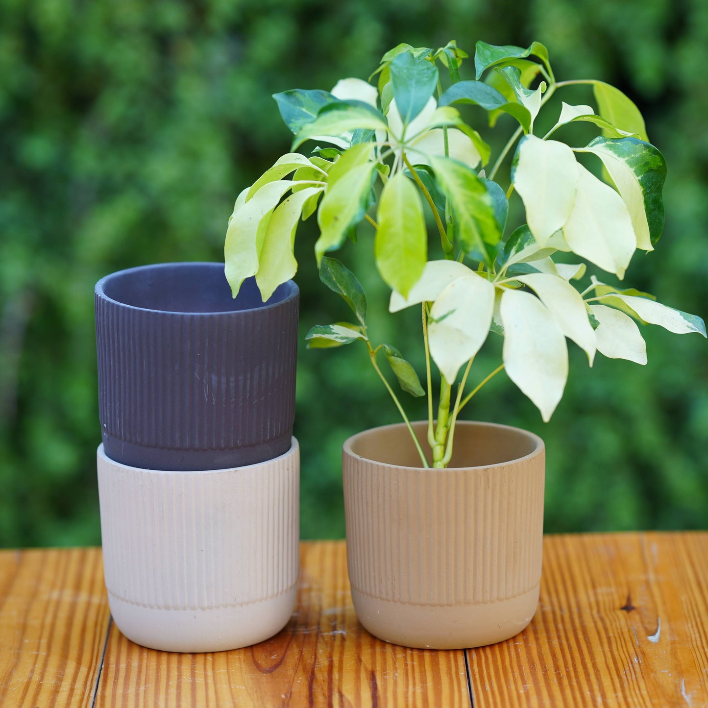 Modern Ribbed Ceramic Planter