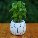 Ball Design Ceramic Planter