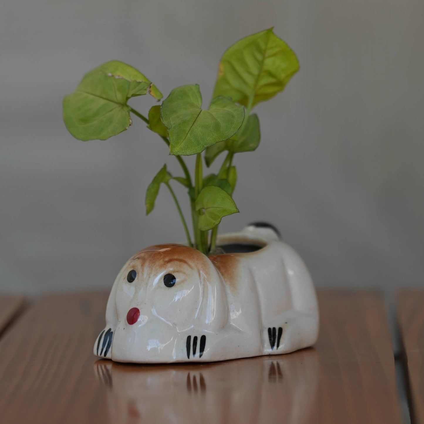 Adorable Dog Shaped Ceramic Planter/ Pot