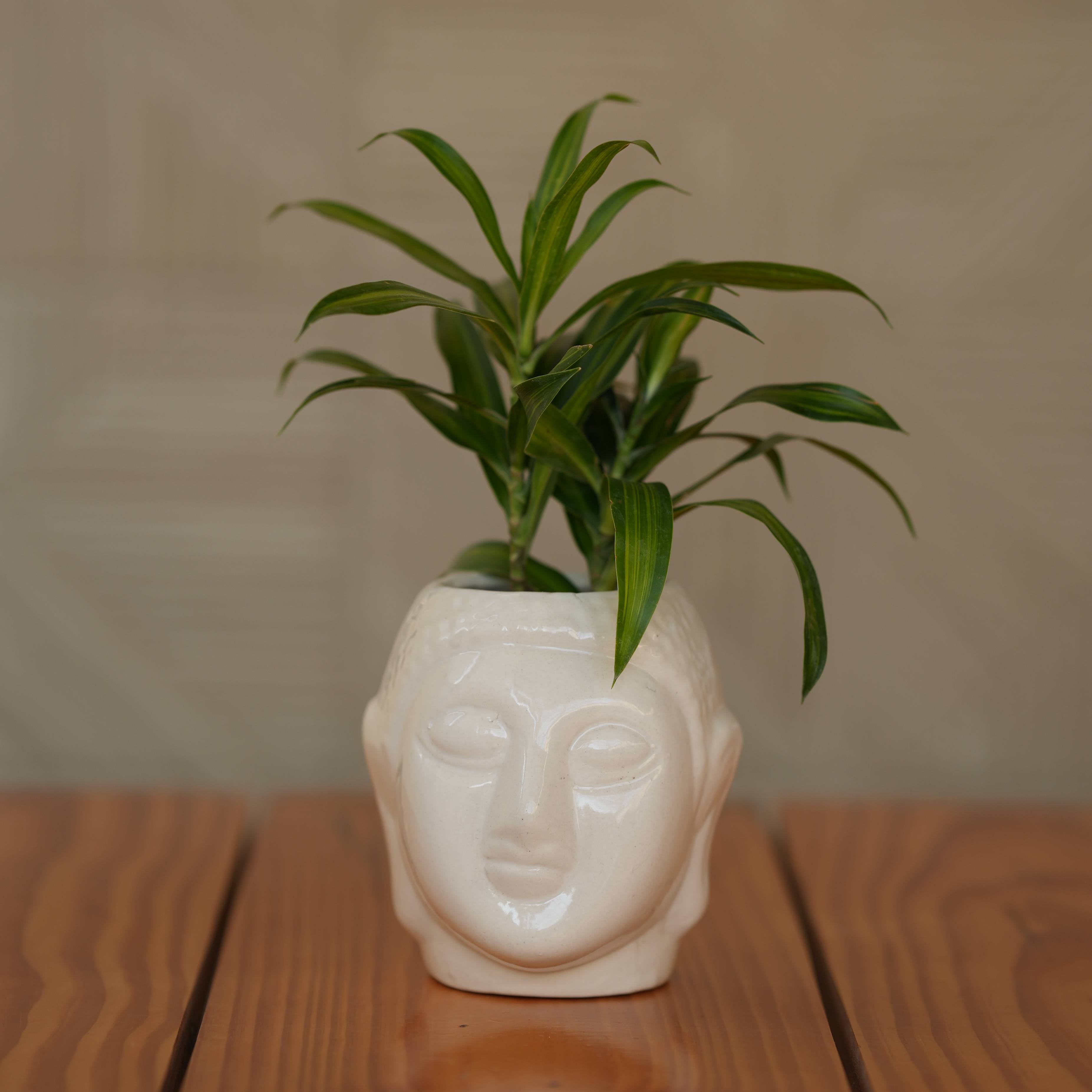 Ceramic Buddha Planter, 6 inch