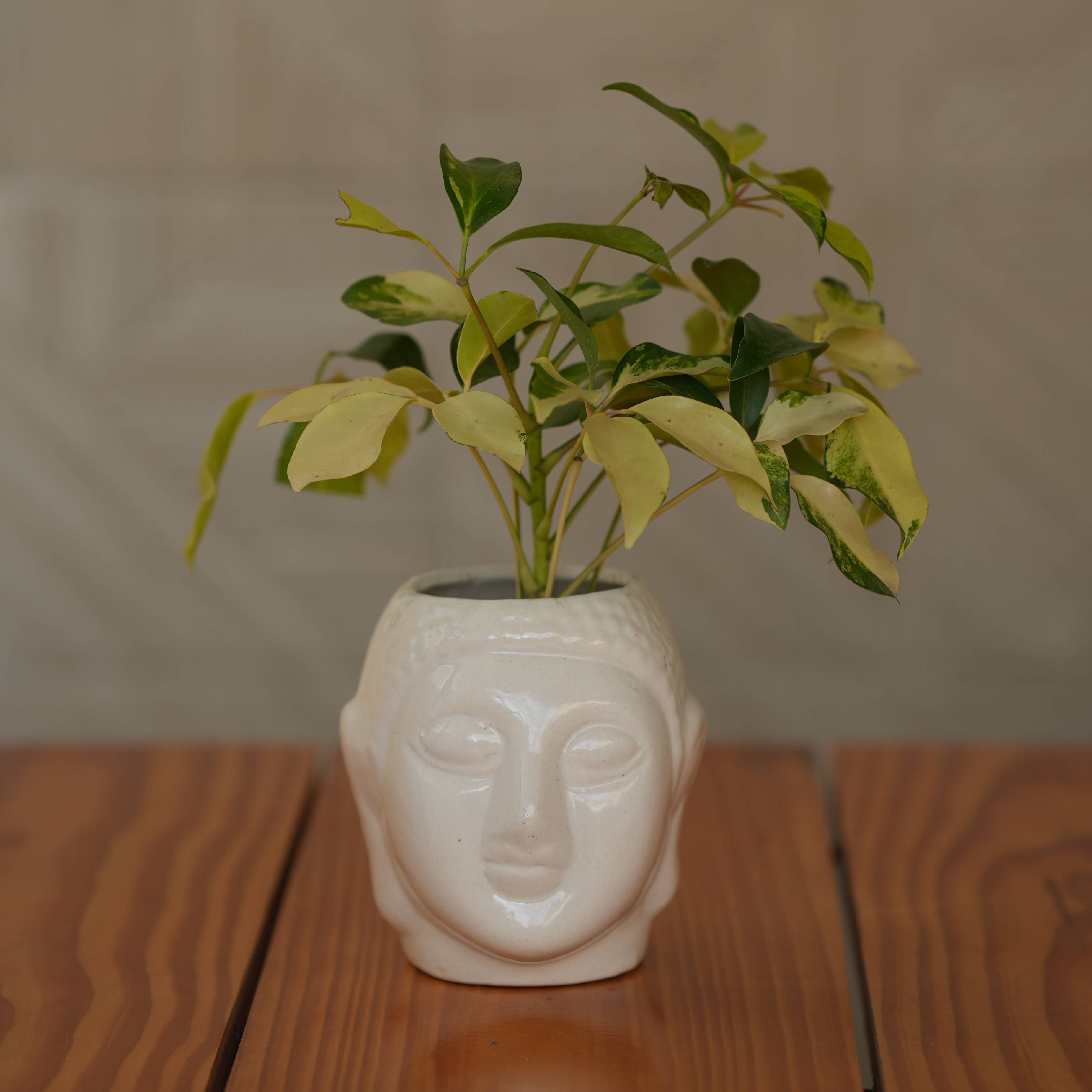 Ceramic Buddha Planter, 6 inch