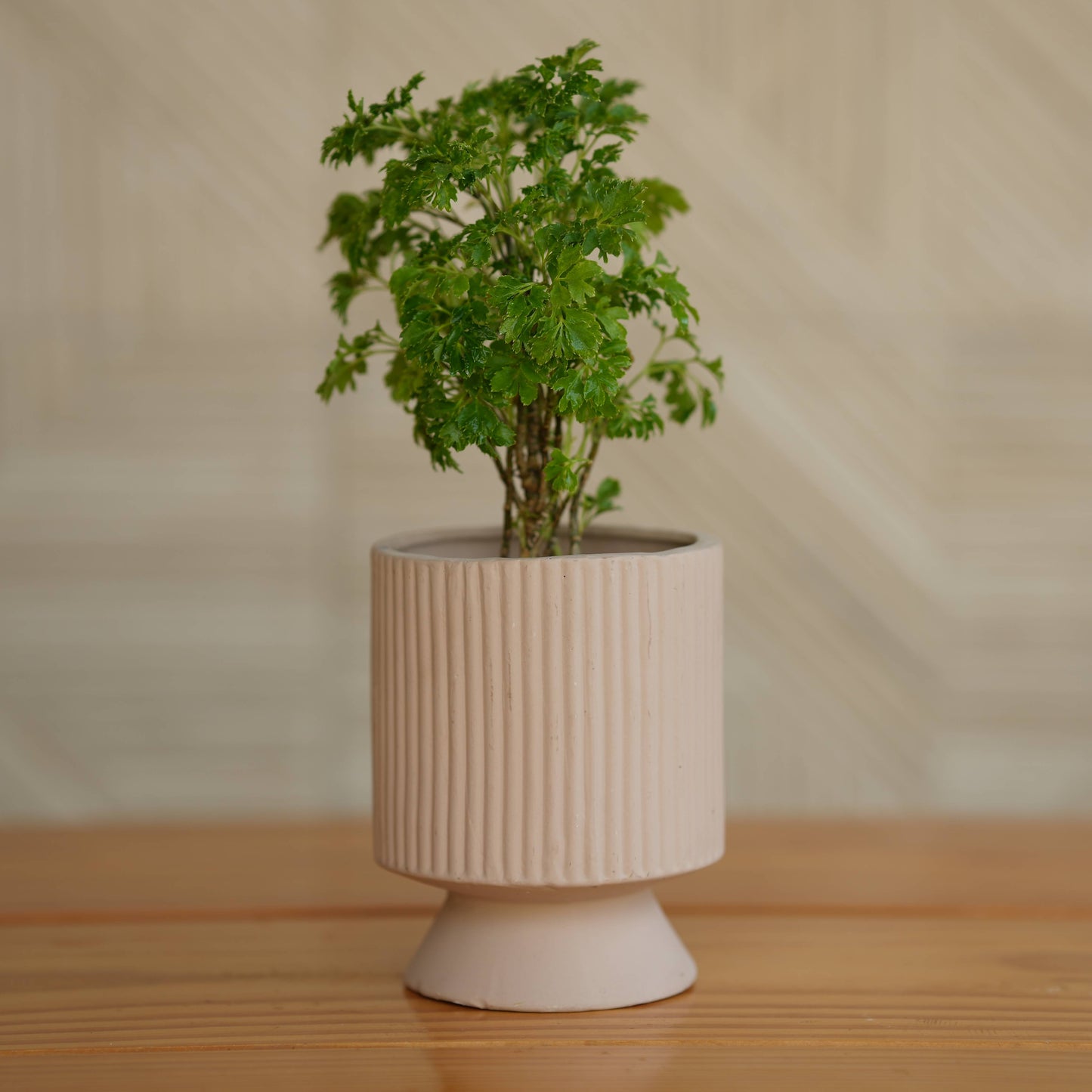 Ceramic Long Okhli Planter For Plants