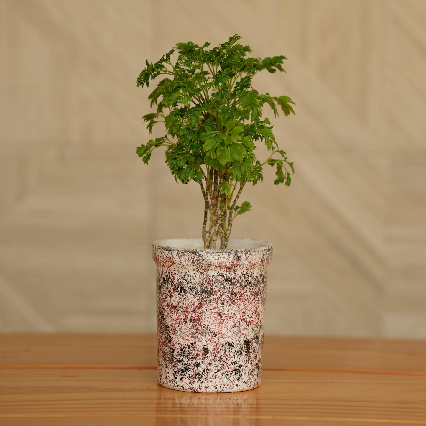 Expressive Splatter Paint Ceramic Planter