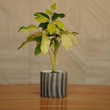 Rustic Striped Ceramic Planter/ Pot For Plants