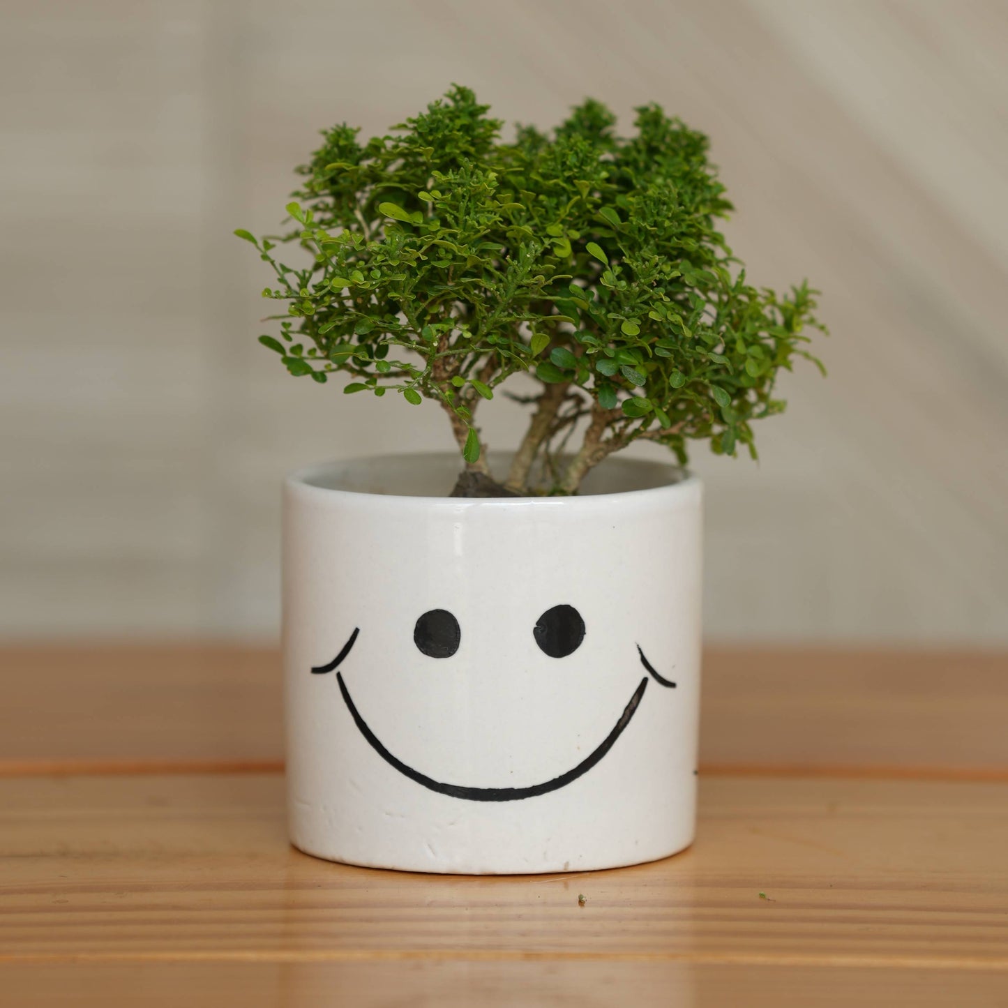 Cheerful Smiley Face Ceramic Planter for Plants