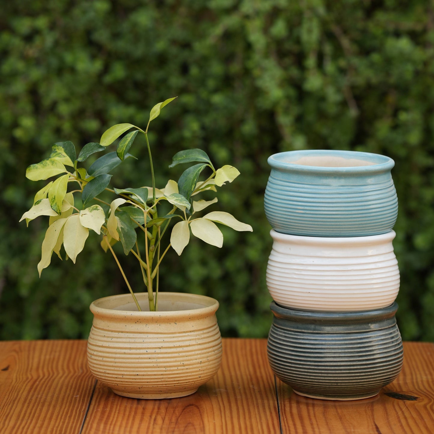 Ceramic Planter with Horizontal Grooves