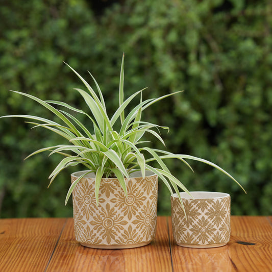 Decorative Flower Pot with Vintage Daisy Design