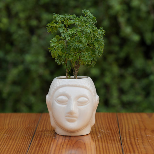 Ceramic Buddha Planter, 6 inch