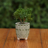 Ceramic Unique Green and White Zigzag Pattern Planter For Plants