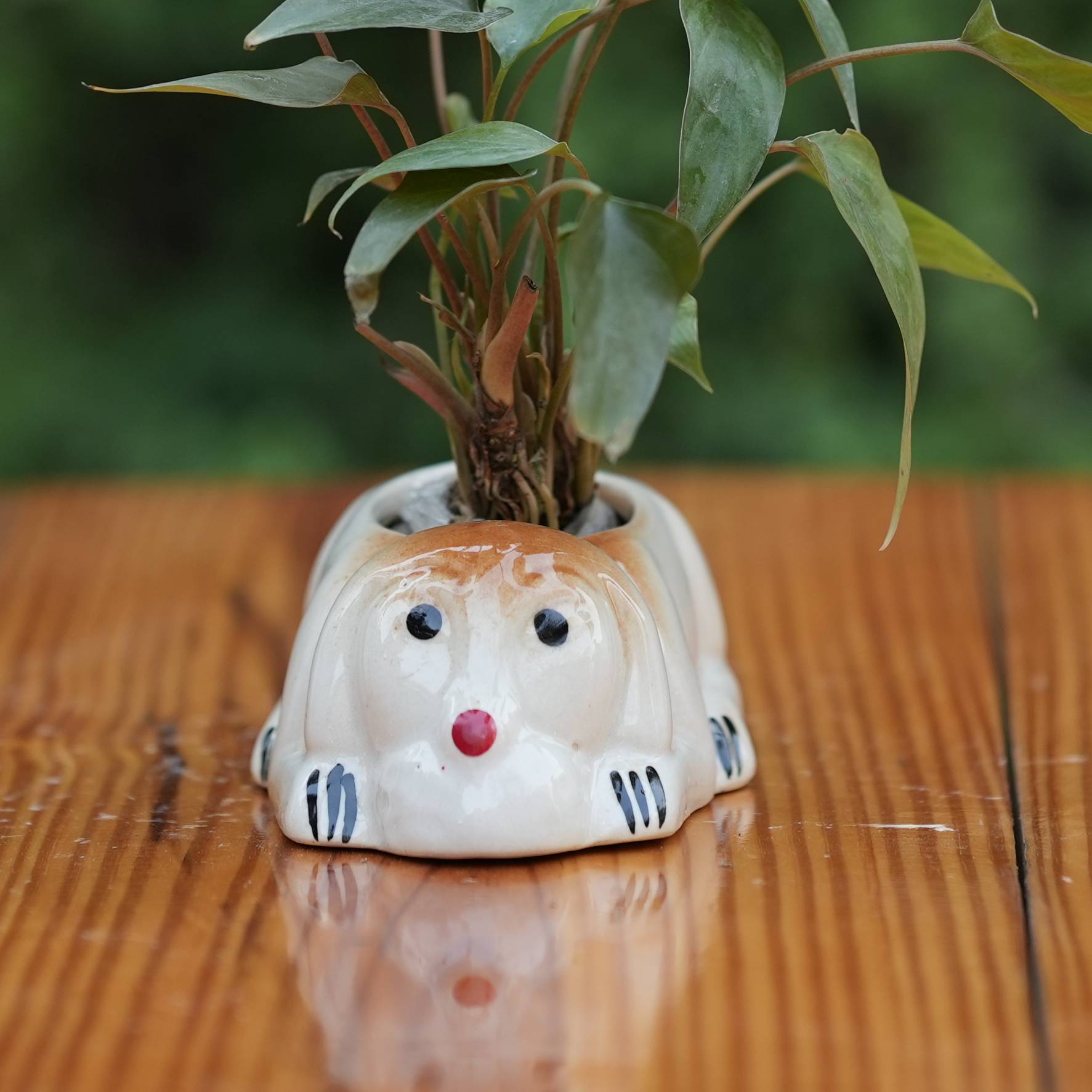 Adorable Dog Shaped Ceramic Planter/ Pot