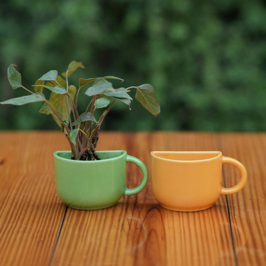 Ceramic Small Half Cup Shape Pot