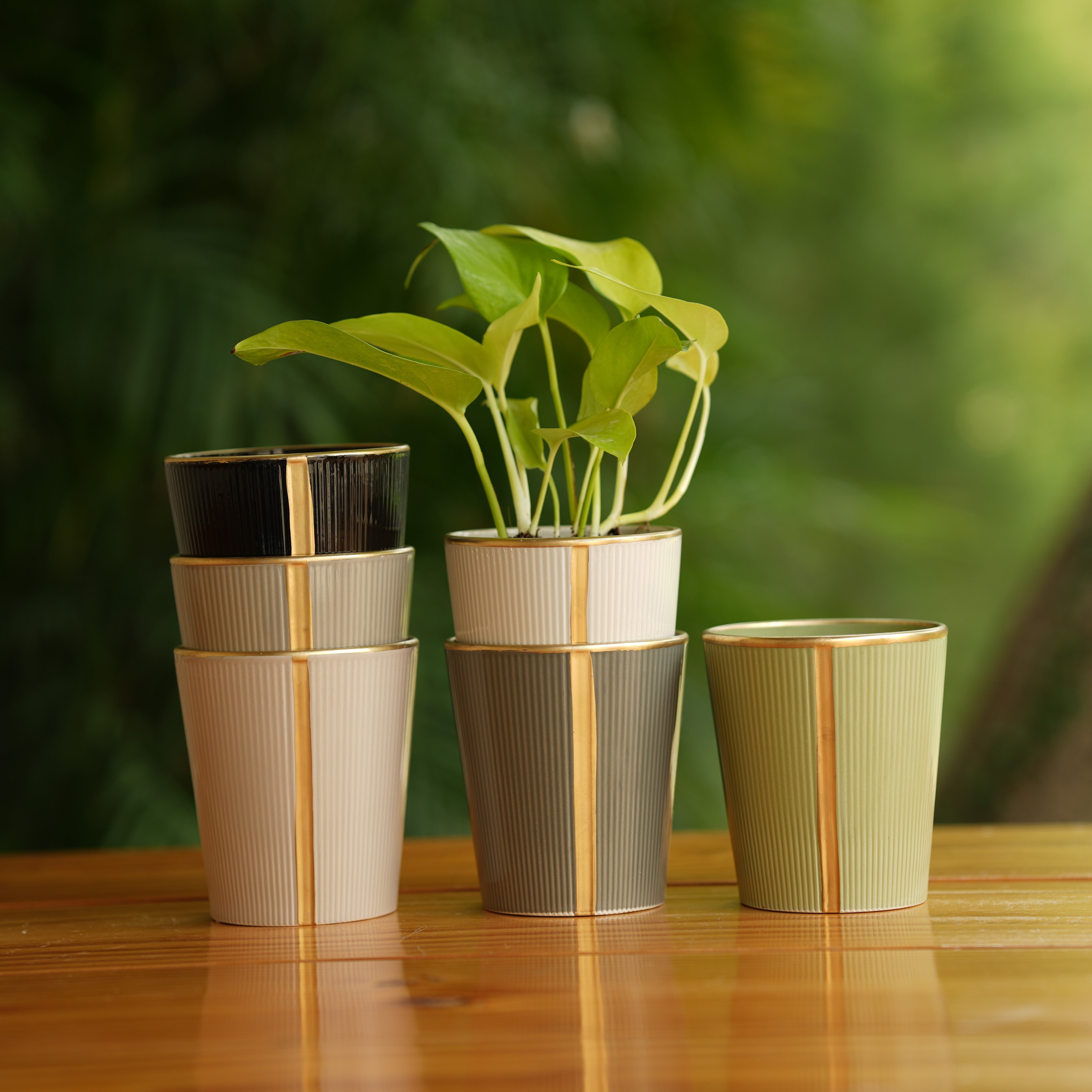 Cone shape With Glossy Finish Ceramic Planter