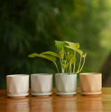 Diamond Cut Design Planter with Tray