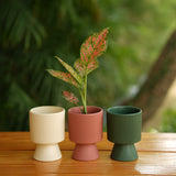 Long Okhli Shape With Glossy Finish Ceramic Planter