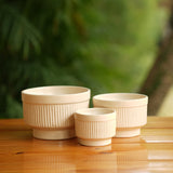 Handi Ribbed Ceramic Planter (Cream)