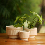 Handi Ribbed Ceramic Planter (Cream)