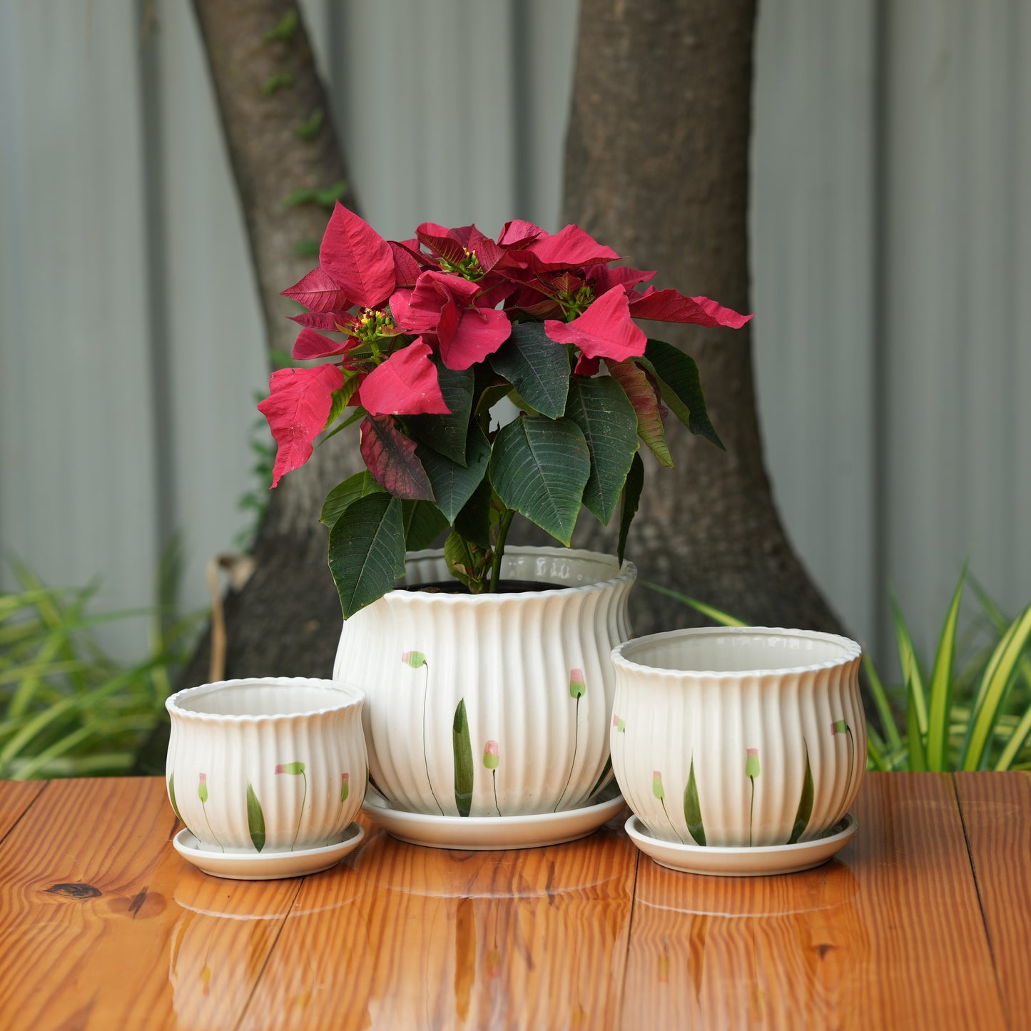 Matka Ribbed Printed Pot With Tray