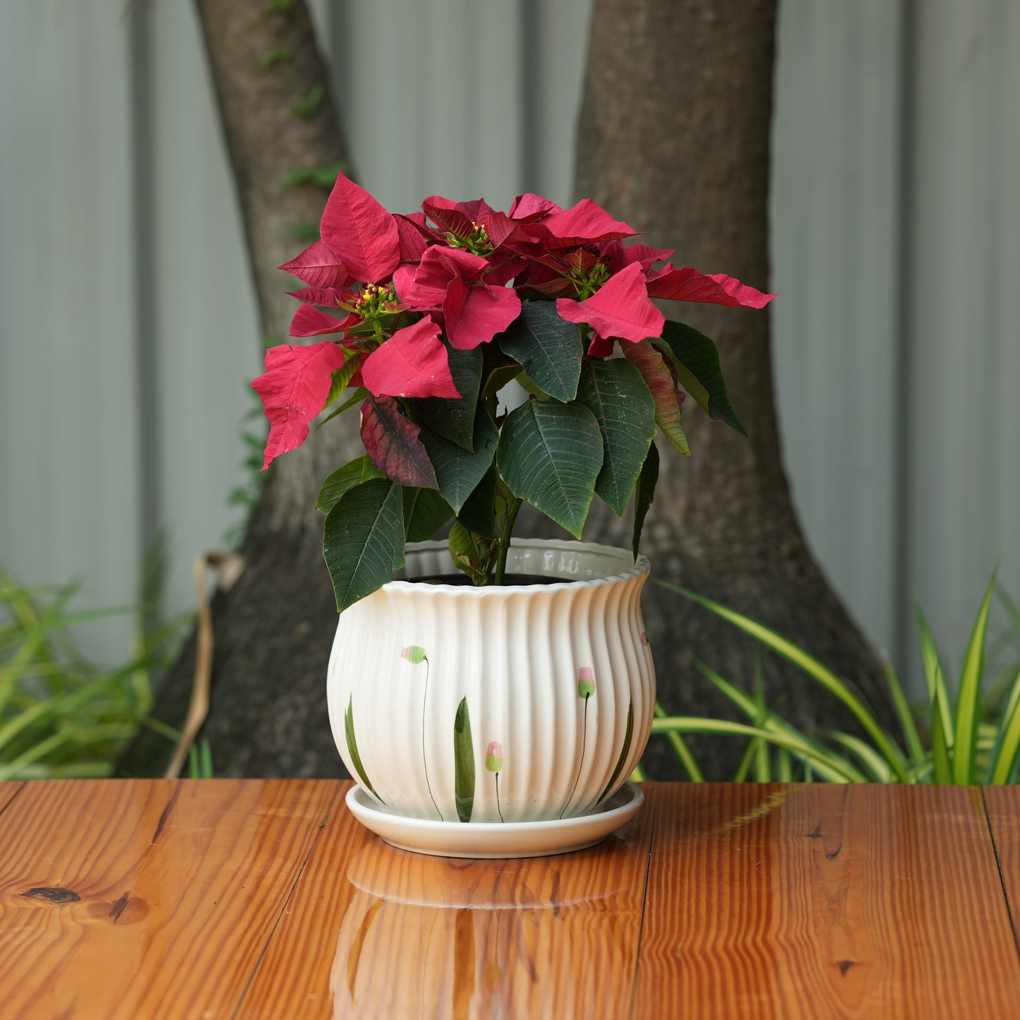 Matka Ribbed Printed Pot With Tray