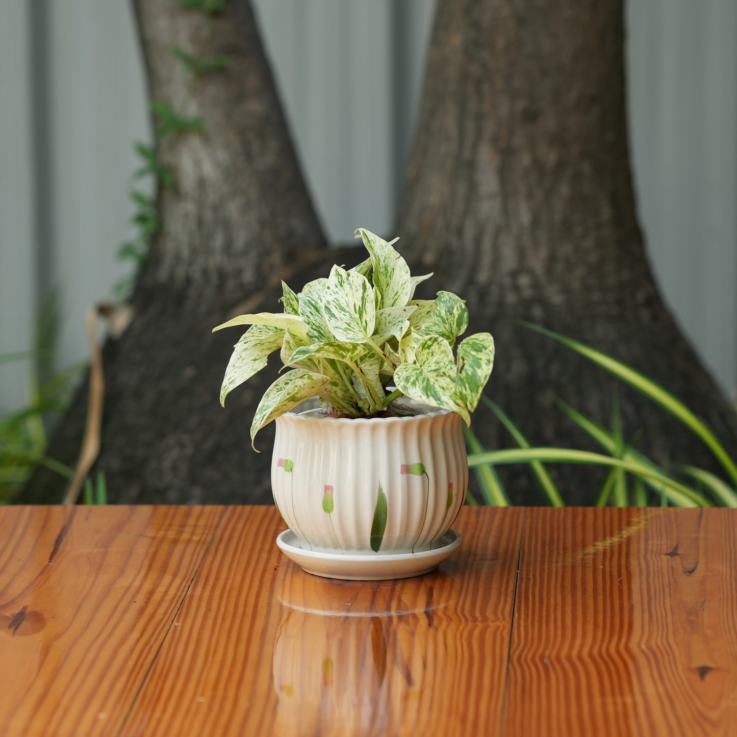 Matka Ribbed Printed Pot With Tray