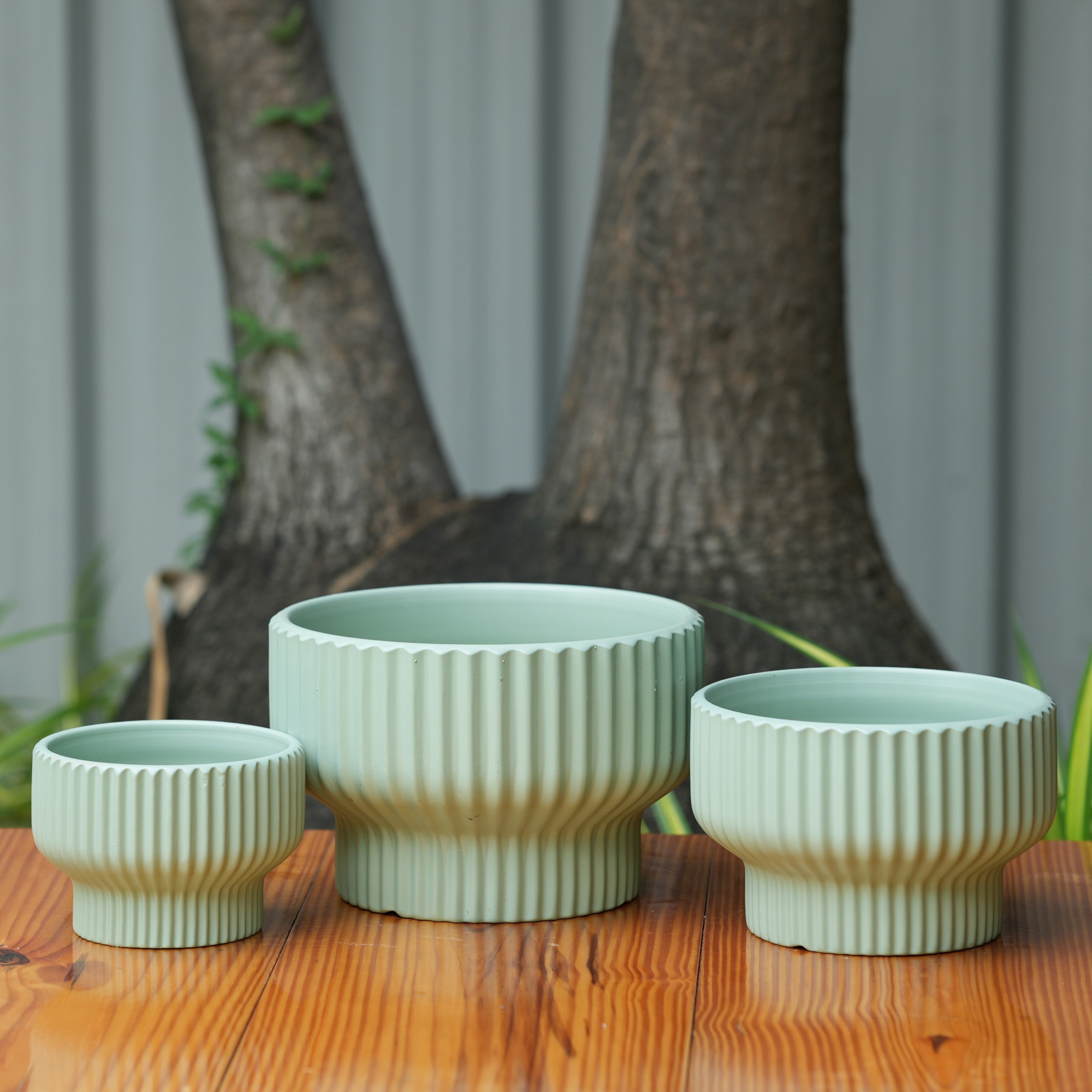 Round Shape Ribbed Pista Colour Ceramic Planter