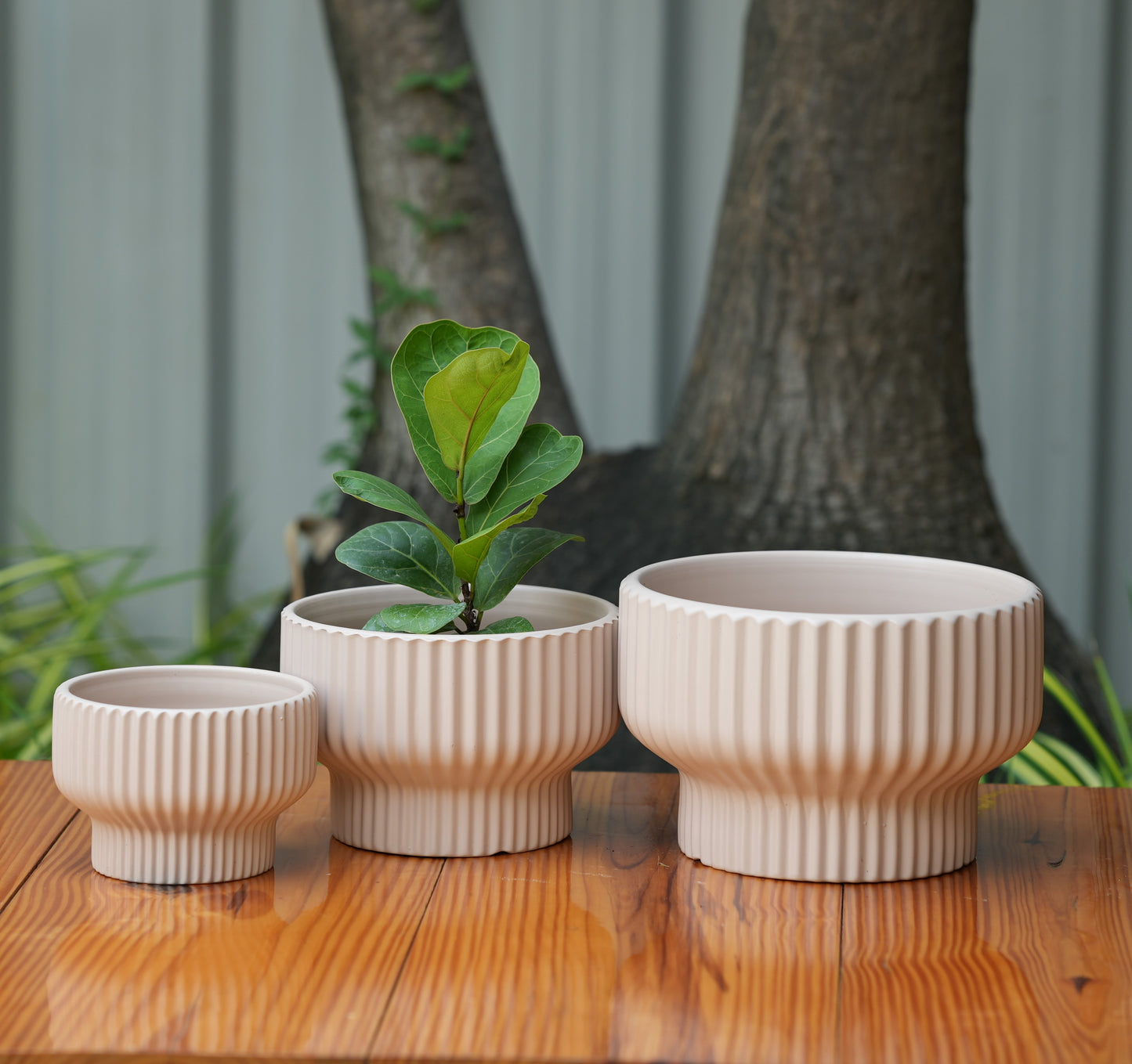 Round Shape Ribbed peach Colour Ceramic Planter