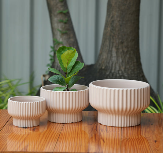 Round Shape Ribbed peach Colour Ceramic Planter