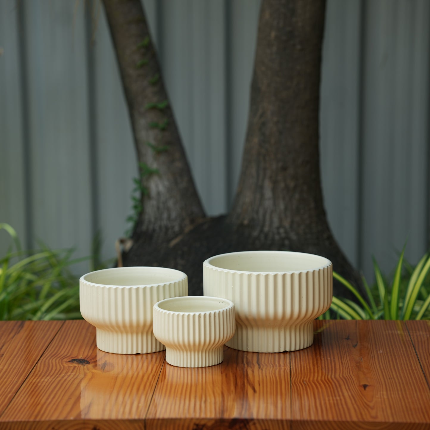 Round Shape Ribbed Cream Colour Ceramic Planter